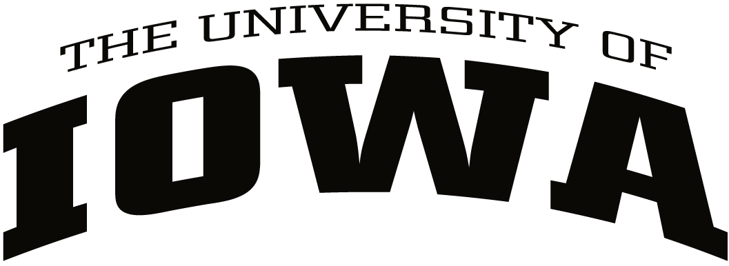 Iowa Hawkeyes 2002-Pres Wordmark Logo 02 iron on paper